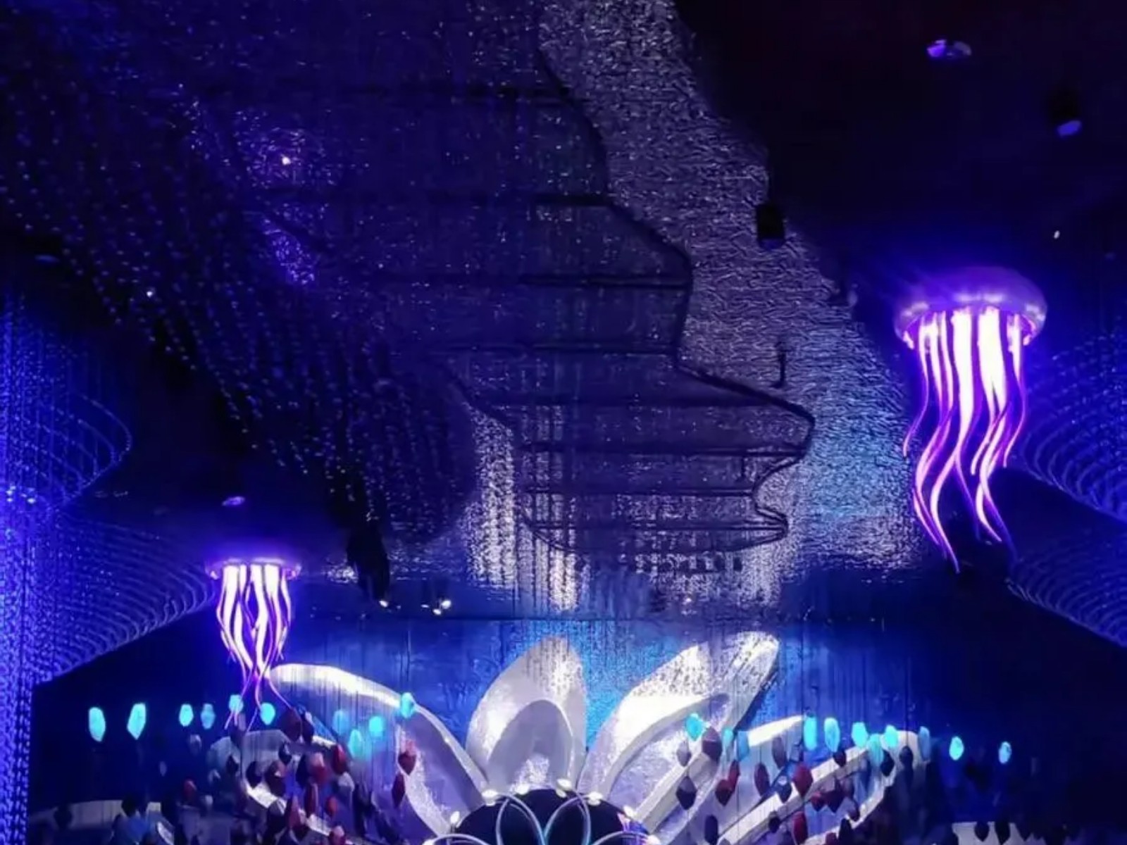 show_654140552_1760152176905_slice_10.jpg
